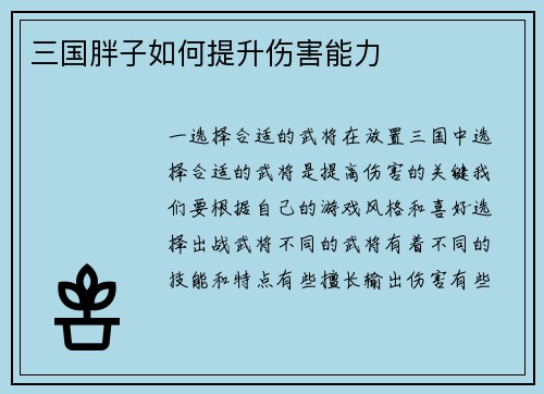 三国胖子如何提升伤害能力
